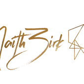 NaithZirk Logo