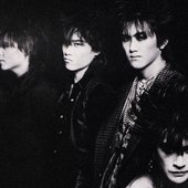 SHADY DOLLS - Amazon.com Music