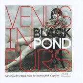 Venus In Furs