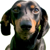 Avatar for ArthurDSellers