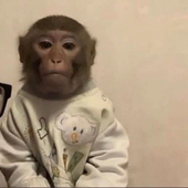IsaiahDaTard 的头像