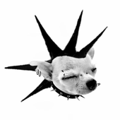 pietrjo 的头像