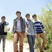 Callalily (1).jpg