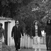 apollinaire band