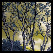 Azure Tears (feat. SERAPHINE NOIR) - Single