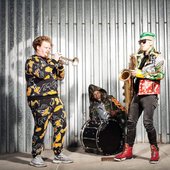 Too Many Zooz