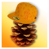 Avatar for MegaPive