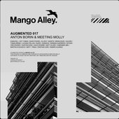 Augmented 017 / Anton Borin & Meeting Molly