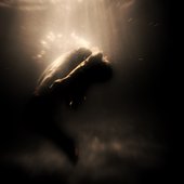 Deep Within
