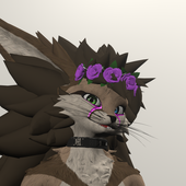 Avatar for Arktiica