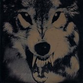 wolfs2017