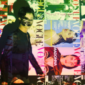 placebolee 的头像