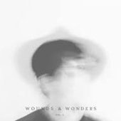 Wounds & Wonders, Vol. 5