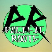 Pacific Roots.jpeg