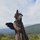 Draconid