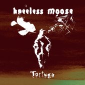 Tortuga