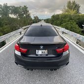 M4ko Shark