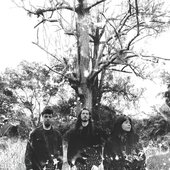 0039647240_10.jpg