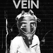 Vein