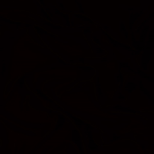 zach293 的头像