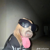 NoFoodAfter6pm 的头像