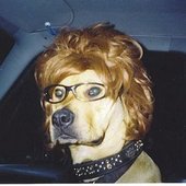 dis is me driving ma car b4 i got dreads 