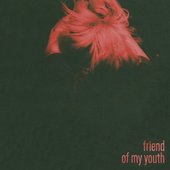 Friend of My Youth