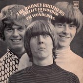 The Rooney Brothers