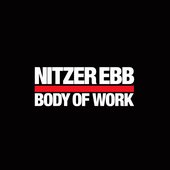 Nitzer Ebb.jpg