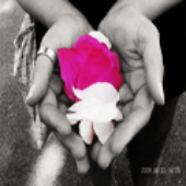 Avatar for moodrose