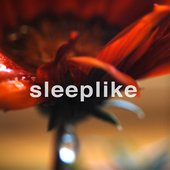 sleeplike