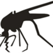 Avatar for Moskitek