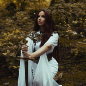 The Glory and the Fallen