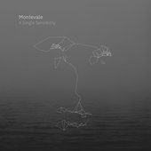 A Single Sensibility