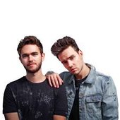 Zedd & Liam Payne.jpg