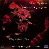 Moments Of Life 007 (Psy Chill Mix) Front.jpg