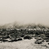 Mnemonic: Ambient Mosaic