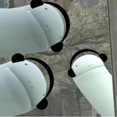 iggyding 的头像