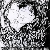 Pleasures Of Self Mutilation