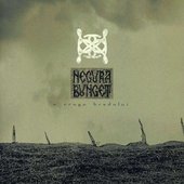 'N Crugu Brandului