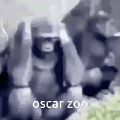 ya