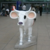 LastFM profile picture for @tomw