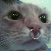 maggsmonroe 的头像