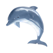 Avatar for KazyWazy