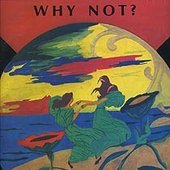 Luidini___WhyNot__Lp_cover