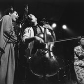 kahondo-style-zurich-51983-cello-original-photograph.jpg__960x0_q85_subsampling-2_upscale.jpg