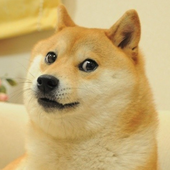 Demphait 的头像