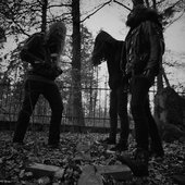 Into Coffin 