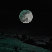 Ethereal Nocturne
