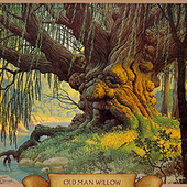 Avatar for willowking